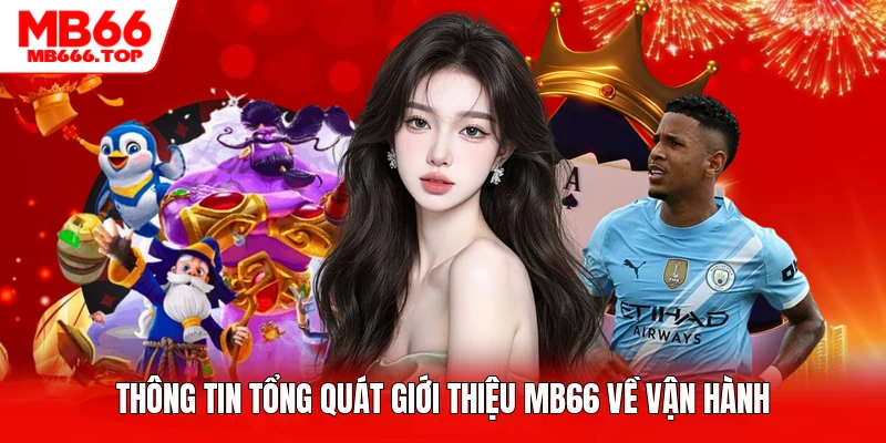 Thông tin tổng quát giới thiệu MB66 về vận hành