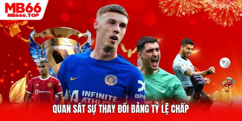 Quan sát sự thay đổi bảng tỷ lệ chấp